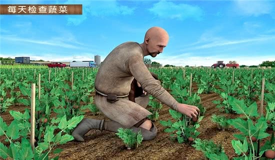 现代农业2