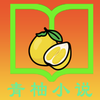 青柚小说免费