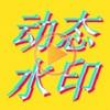 动态水印相机
