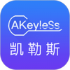 keyless软件