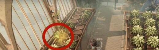 《哈利波特魔法觉醒》不同的植物有不同的用途 哈利波特城堡主楼里千变万化攻略