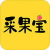 采果宝