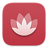 花粉俱乐部