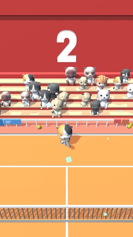 猫猫网球锦标赛