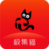 极集猫